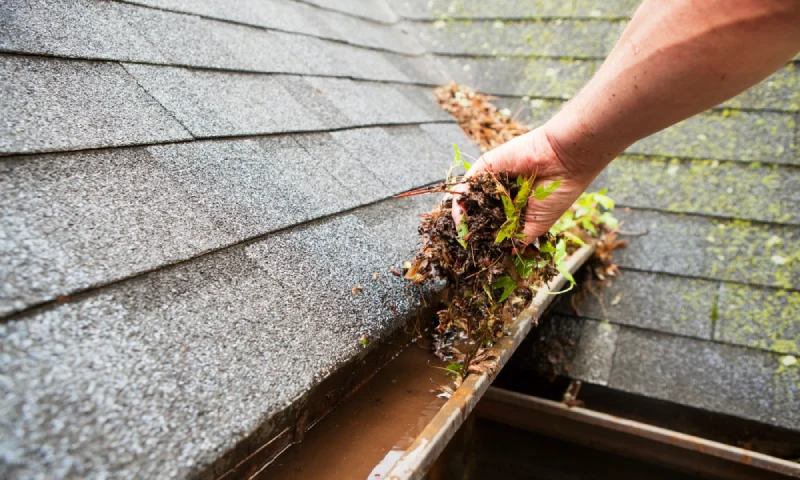 gutter cleaning